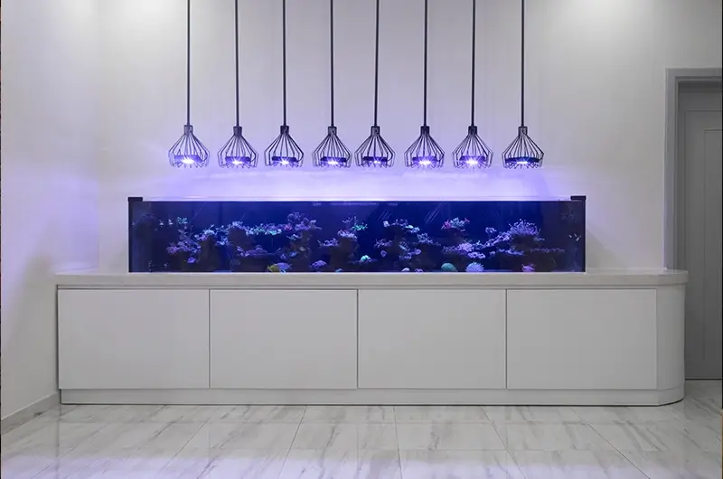 Private Rimless Aquarium