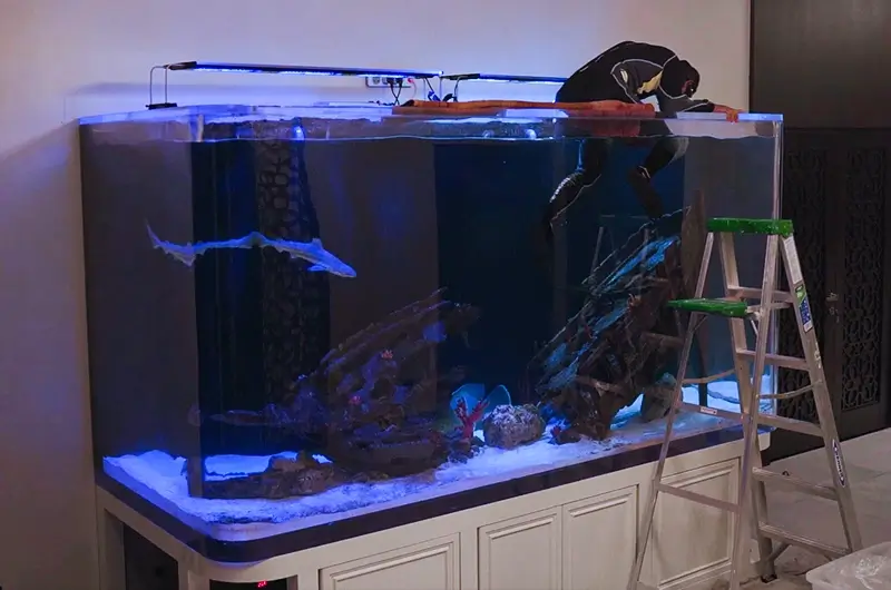 The Sunken Ship Predator Tank