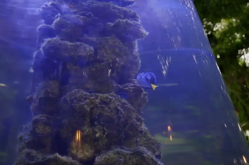 The Living Rock Cylinder Aquarium